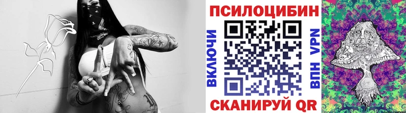 дарнет шоп  Красково  Псилоцибиновые грибы прущие грибы 